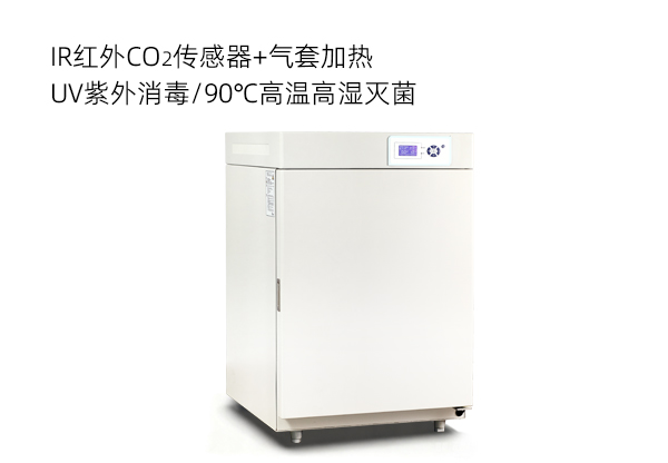 二氧化碳培养箱CH &mdash; 红外传感器、气套加热（普及型）